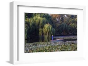 Worker in Boat Cleaning Green Lake, Kunming China-Darrell Gulin-Framed Photographic Print