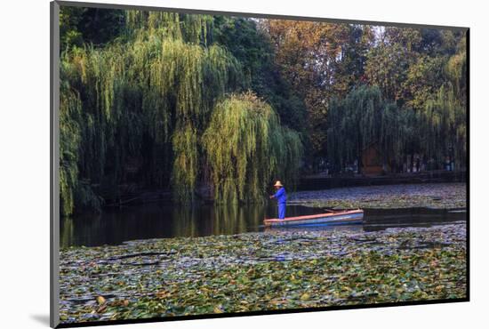 Worker in Boat Cleaning Green Lake, Kunming China-Darrell Gulin-Mounted Photographic Print