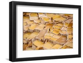 Worker Mining for Salt, Salineras De Maras, Maras Salt Flats, Sacred Valley, Peru, South America-Laura Grier-Framed Photographic Print