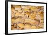 Worker Mining for Salt, Salineras De Maras, Maras Salt Flats, Sacred Valley, Peru, South America-Laura Grier-Framed Photographic Print