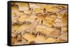 Worker Mining for Salt, Salineras De Maras, Maras Salt Flats, Sacred Valley, Peru, South America-Laura Grier-Framed Stretched Canvas