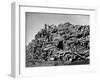 Worker on Top of Pile of Pine Logs Outside Union Bag and Paper Co.-Margaret Bourke-White-Framed Photographic Print