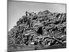 Worker on Top of Pile of Pine Logs Outside Union Bag and Paper Co.-Margaret Bourke-White-Mounted Photographic Print