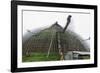 Workers and Scaffolding on the Abhayagiri Dagoba-Christian Kober-Framed Photographic Print