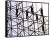 Workers Assemble the Frame of an Advertising Billboard Alongside a Bangkok Expressway-null-Framed Stretched Canvas