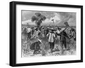 Workers at a Sugar Plantation-null-Framed Giclee Print