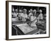 Workers at Ann Page Plant Transferring Spaghetti from Bins into Rows of Cans-null-Framed Photographic Print