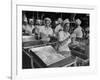 Workers at Ann Page Plant Transferring Spaghetti from Bins into Rows of Cans-null-Framed Photographic Print