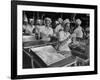 Workers at Ann Page Plant Transferring Spaghetti from Bins into Rows of Cans-null-Framed Photographic Print