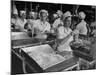 Workers at Ann Page Plant Transferring Spaghetti from Bins into Rows of Cans-null-Mounted Photographic Print