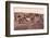 Workers at Gold Mine-null-Framed Photographic Print