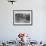 Workers Complete the Catwalks for the Golden Gate Bridge-null-Framed Photographic Print displayed on a wall