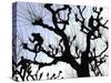 Workers Cuts Young Sprouts from a Plane Tree at an Avenue at the River Main-null-Stretched Canvas