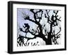 Workers Cuts Young Sprouts from a Plane Tree at an Avenue at the River Main-null-Framed Photographic Print