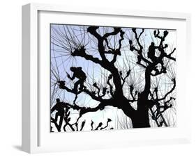 Workers Cuts Young Sprouts from a Plane Tree at an Avenue at the River Main-null-Framed Photographic Print