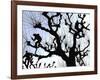 Workers Cuts Young Sprouts from a Plane Tree at an Avenue at the River Main-null-Framed Photographic Print