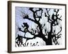 Workers Cuts Young Sprouts from a Plane Tree at an Avenue at the River Main-null-Framed Photographic Print