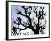 Workers Cuts Young Sprouts from a Plane Tree at an Avenue at the River Main-null-Framed Photographic Print