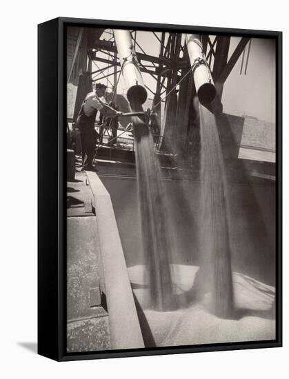 Workers Guiding Granary Filling Spouts as They Pour Tons of Wheat into River Barge for Shipment-Margaret Bourke-White-Framed Stretched Canvas