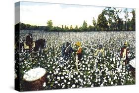 Workers in Cotton Field-null-Stretched Canvas