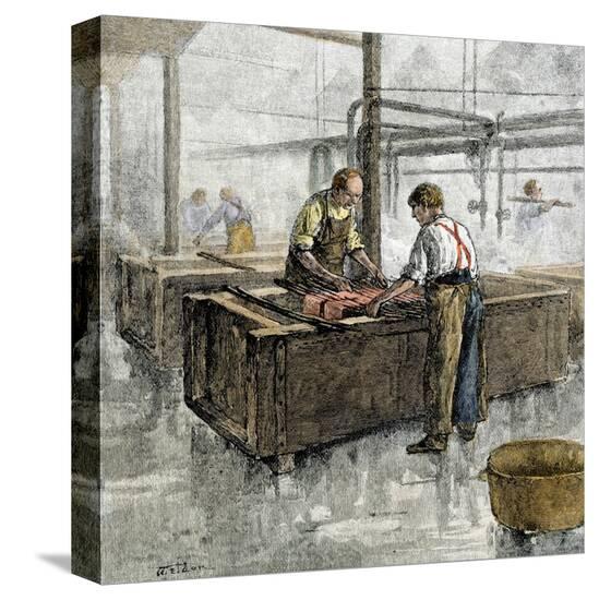 Stretched Canvas Print, , large