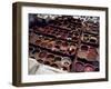 Workers in the Dyeing Pits of a Leather Tannery, Fez, Morocco-Susanna Wyatt-Framed Photographic Print