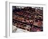 Workers in the Dyeing Pits of a Leather Tannery, Fez, Morocco-Susanna Wyatt-Framed Photographic Print