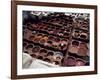 Workers in the Dyeing Pits of a Leather Tannery, Fez, Morocco-Susanna Wyatt-Framed Photographic Print