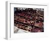 Workers in the Dyeing Pits of a Leather Tannery, Fez, Morocco-Susanna Wyatt-Framed Photographic Print