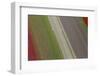 Workers in Tulip Fields, North Holland, Netherlands-Peter Adams-Framed Photographic Print