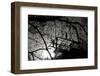 Workers Install Scaffolding at a Construction Site on a Winter Day in Beijing-Jason Lee-Framed Photographic Print