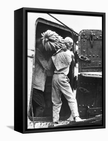 Workers Loading Bananas, Veracruz, 1927-Tina Modotti-Framed Stretched Canvas