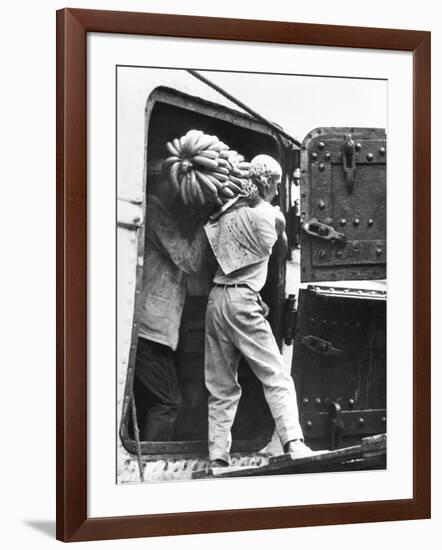 Workers Loading Bananas, Veracruz, 1927-Tina Modotti-Framed Photographic Print