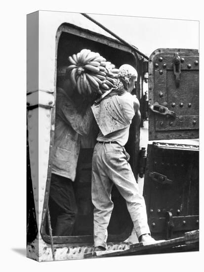 Workers Loading Bananas, Veracruz, 1927-Tina Modotti-Stretched Canvas