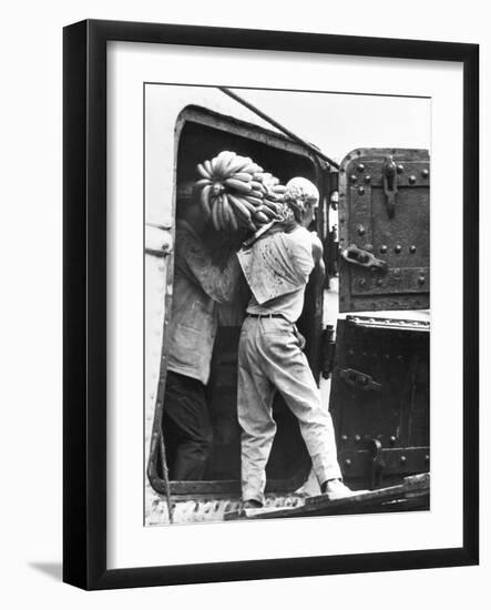 Workers Loading Bananas, Veracruz, 1927-Tina Modotti-Framed Photographic Print