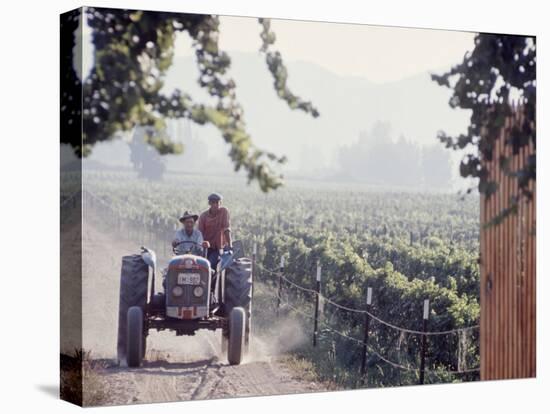 Workers on a Tractor at the Conchay Toro Vineyards, Chile-Bill Ray-Stretched Canvas