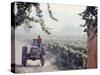 Workers on a Tractor at the Conchay Toro Vineyards, Chile-Bill Ray-Stretched Canvas