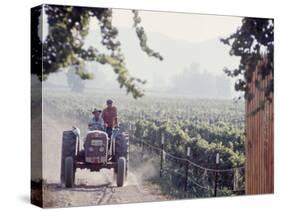 Workers on a Tractor at the Conchay Toro Vineyards, Chile-Bill Ray-Stretched Canvas