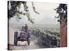 Workers on a Tractor at the Conchay Toro Vineyards, Chile-Bill Ray-Stretched Canvas