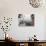 Workers on a Tractor at the Conchay Toro Vineyards, Chile-Bill Ray-Photographic Print displayed on a wall