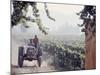 Workers on a Tractor at the Conchay Toro Vineyards, Chile-Bill Ray-Mounted Photographic Print