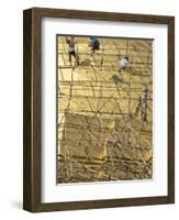 Workers on Bamboo Scaffolding Applying Fresh Gold Leaf to the Shwedagon Pagoda, Yangon, Myanmar-Upperhall-Framed Photographic Print