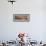 Workers on Combines Harvest Soybeans in Correntina, Northern Brazil-null-Framed Photographic Print displayed on a wall