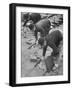 Workers Paving Sidewalk in Front of Stalin Statue Are Making Highest Salaries at 24 Cents Per Hour-Ralph Crane-Framed Photographic Print