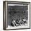 Workers Sitting Against Wall During Lunch Break, at Vega Aircraft Plant, During WWII: Burbank, Ca-Charles Fenno Jacobs-Framed Photographic Print