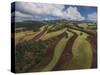 Working a Field near Manciano, Air View by Drone-Guido Cozzi-Stretched Canvas