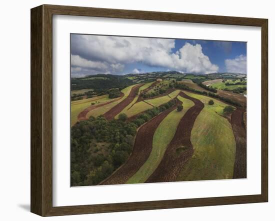 Working a Field near Manciano, Air View by Drone-Guido Cozzi-Framed Photographic Print