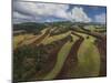 Working a Field near Manciano, Air View by Drone-Guido Cozzi-Mounted Photographic Print