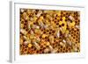 Working Bees on Honeycells-mady70-Framed Photographic Print