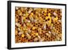 Working Bees on Honeycells-mady70-Framed Photographic Print